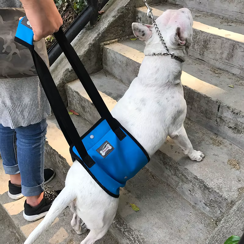 Harnais de soutien pour chien avec poignées réglables