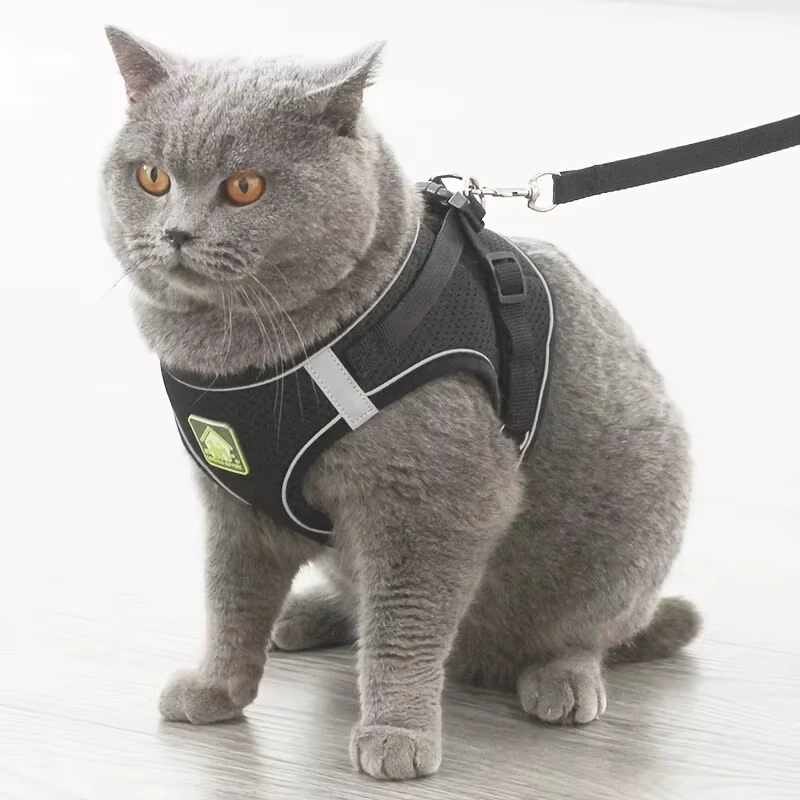 Harnais Anti-Traction Respirant pour Chien et Chat avec Laisse
