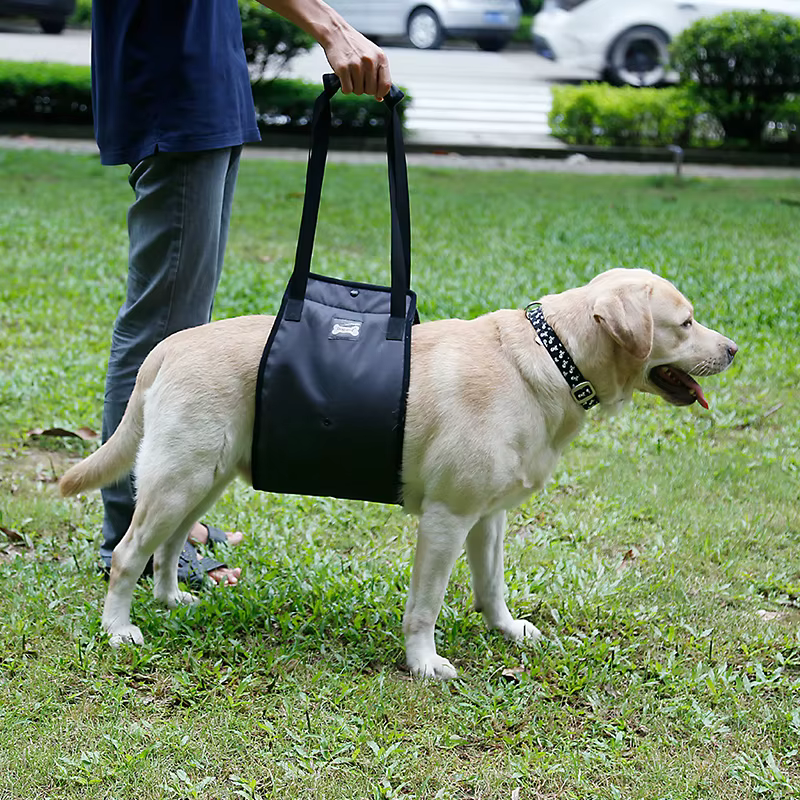 Harnais de soutien pour chien avec poignées réglables