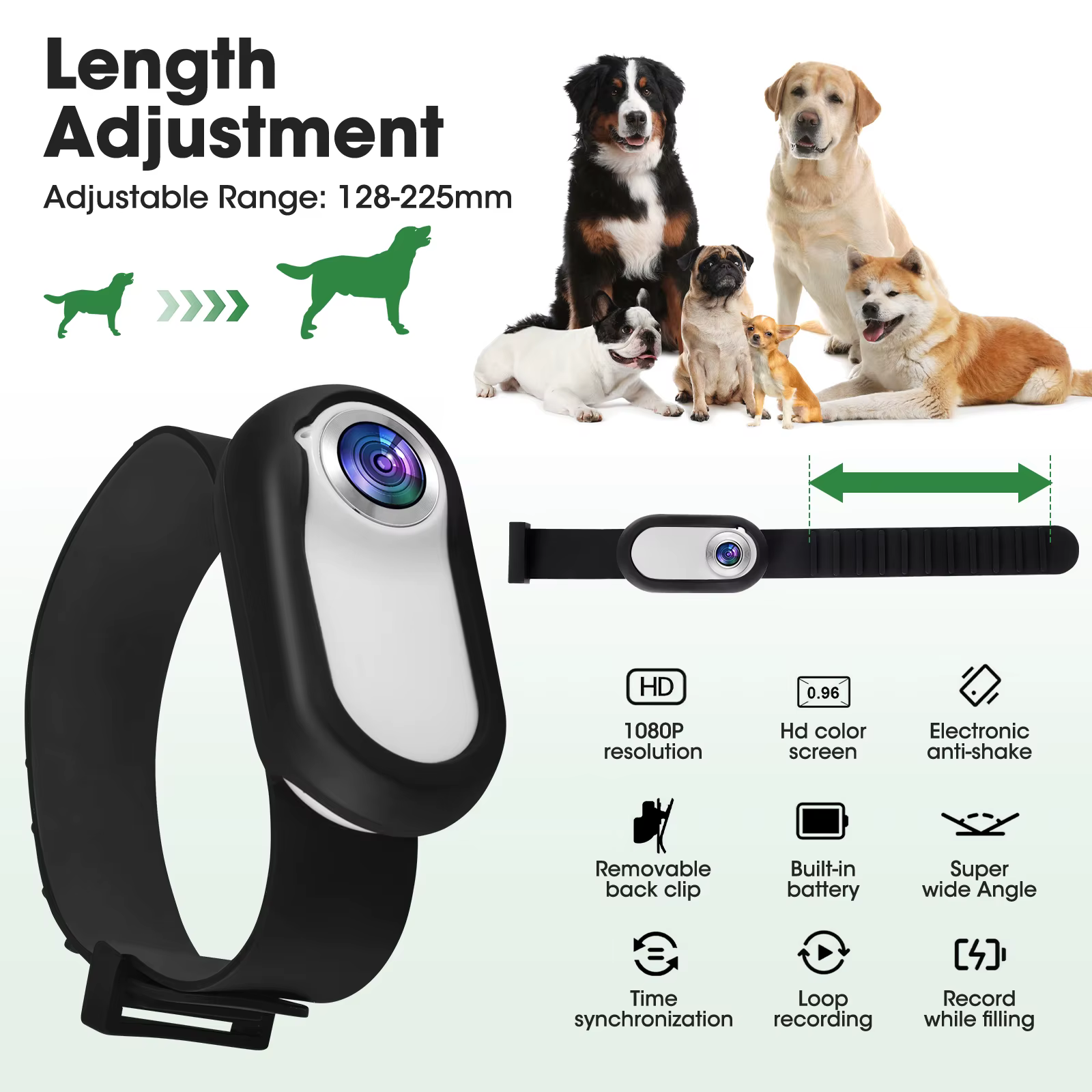 collier camera pour chien