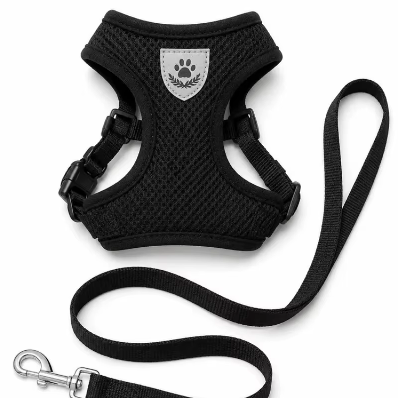 Harnais Respirant & Réfléchissant pour Chien et Chat avec Laisse Assortie
