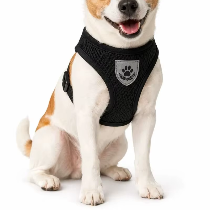 Harnais Respirant & Réfléchissant pour Chien et Chat avec Laisse Assortie
