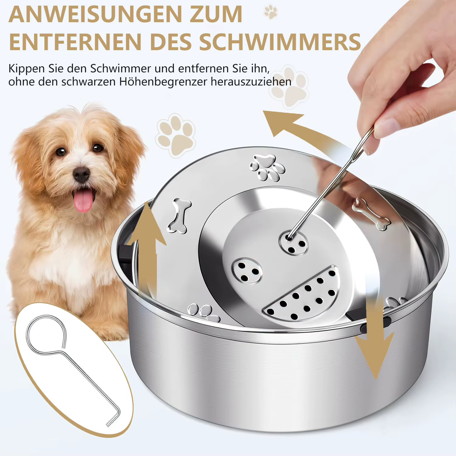 Gamelle Anti-Éclaboussures en Inox pour Chien 