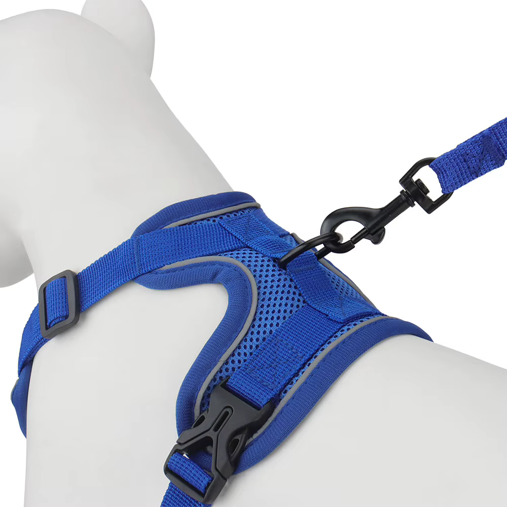 Harnais pour chien avec laisse – Confort, sécurité et liberté de mouvement