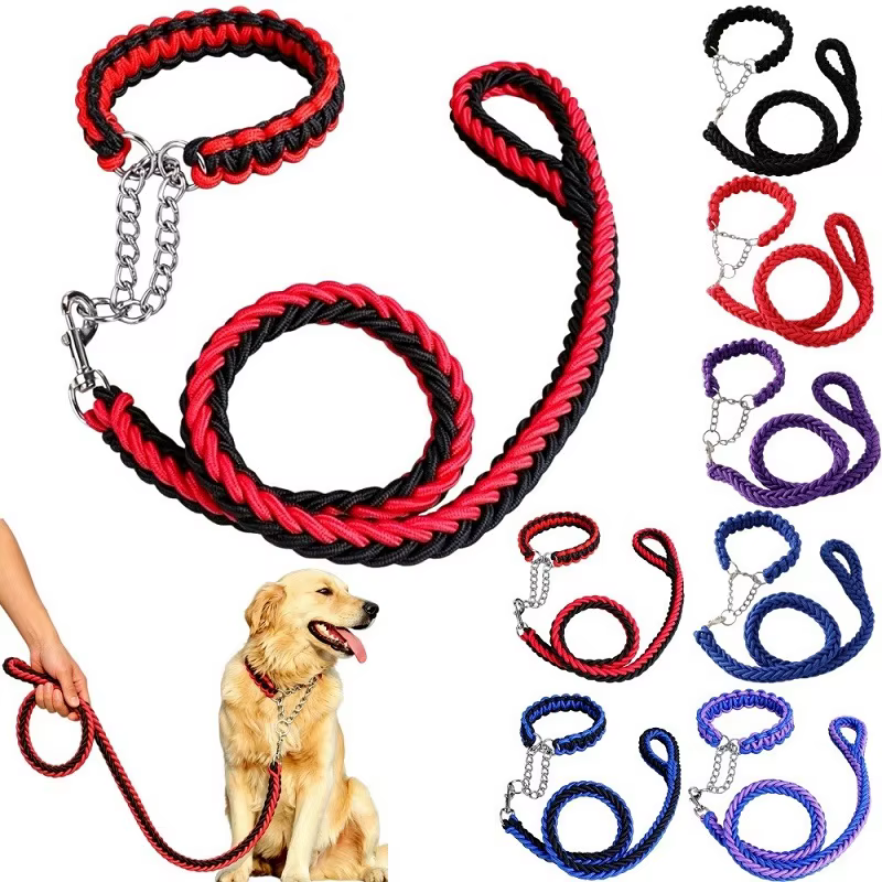 laisse solide pour chien