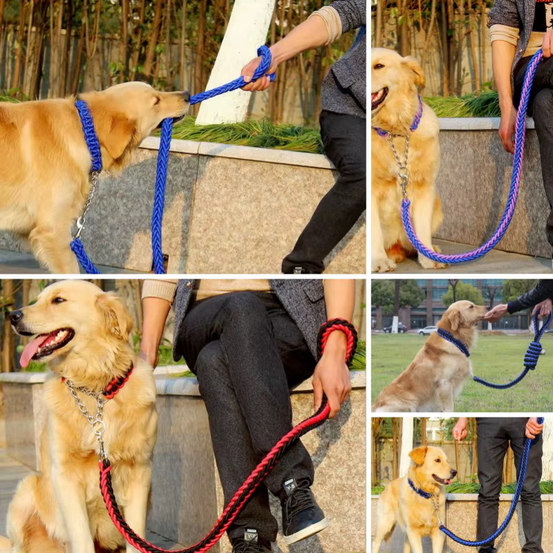laisse solide pour chien