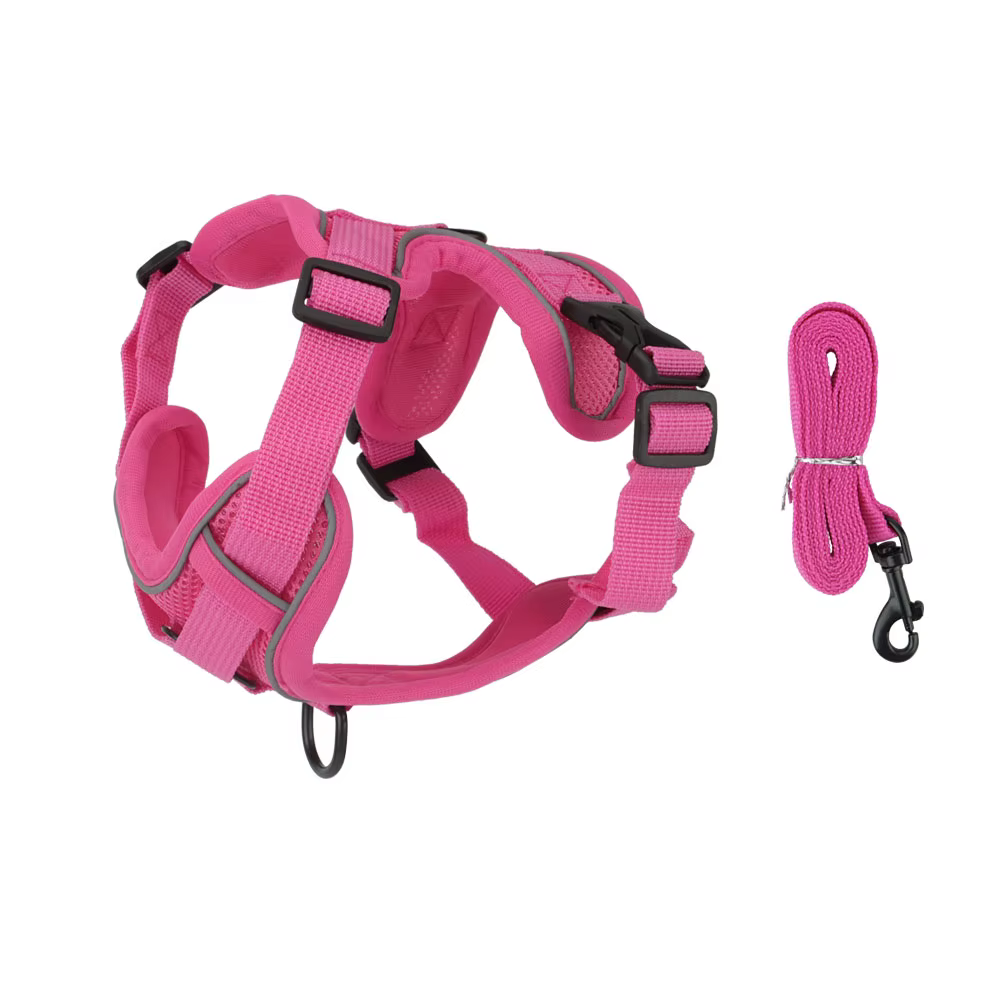 Harnais pour chien avec laisse – Confort, sécurité et liberté de mouvement