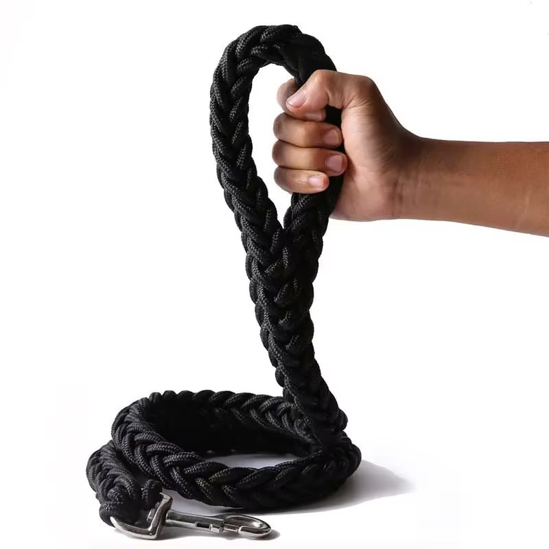 laisse solide pour chien
