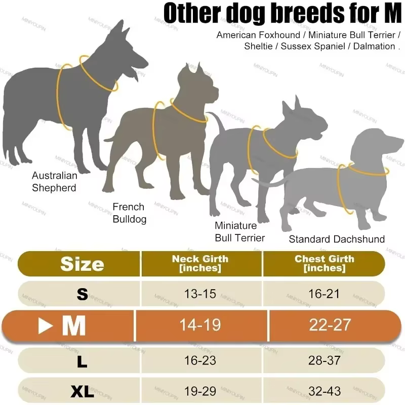 Harnais LED pour chien – Sécurité et visibilité lors des promenades