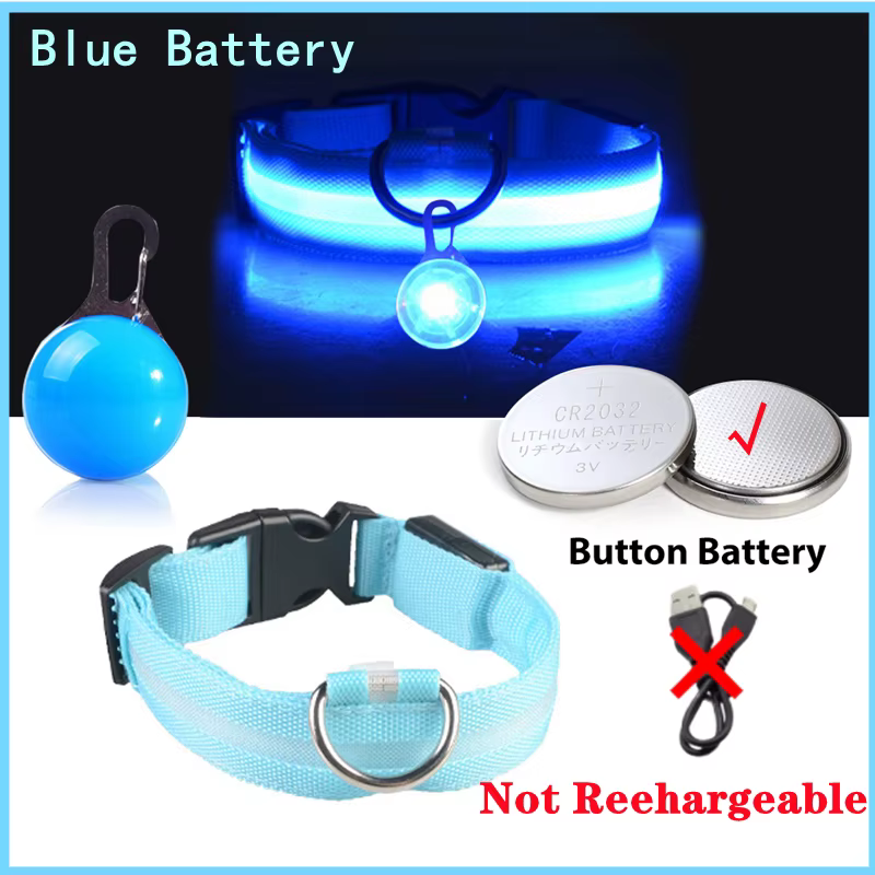 collier lumineux pour chien
