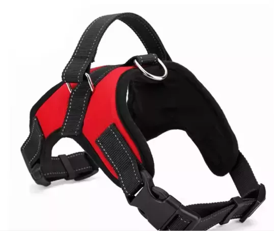 Harnais pour chien