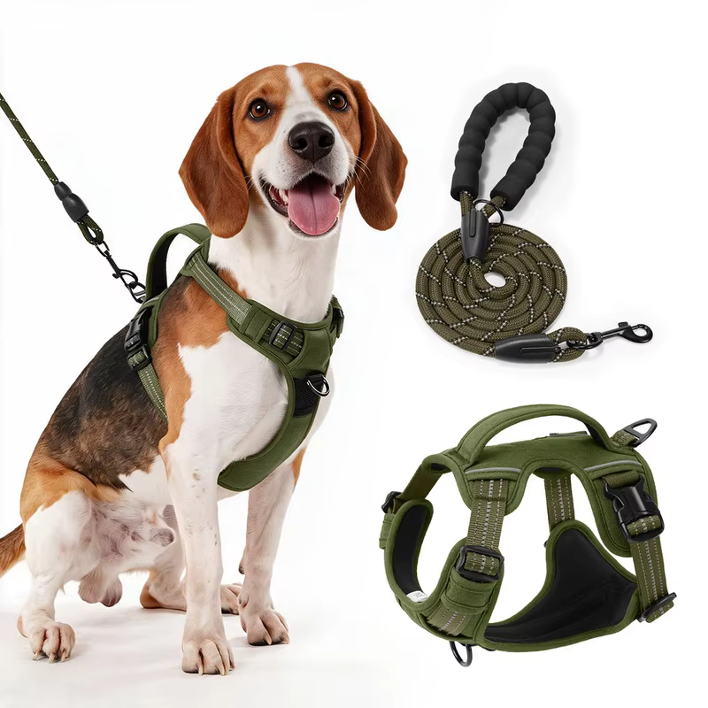 Harnais Anti-Traction Chien & Laisse Assortie