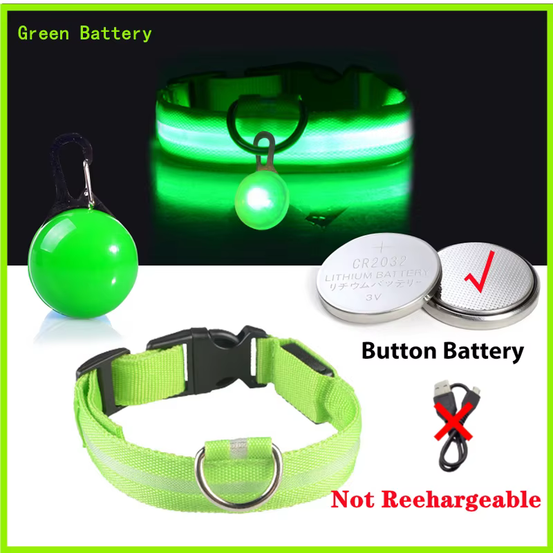 collier lumineux pour chien