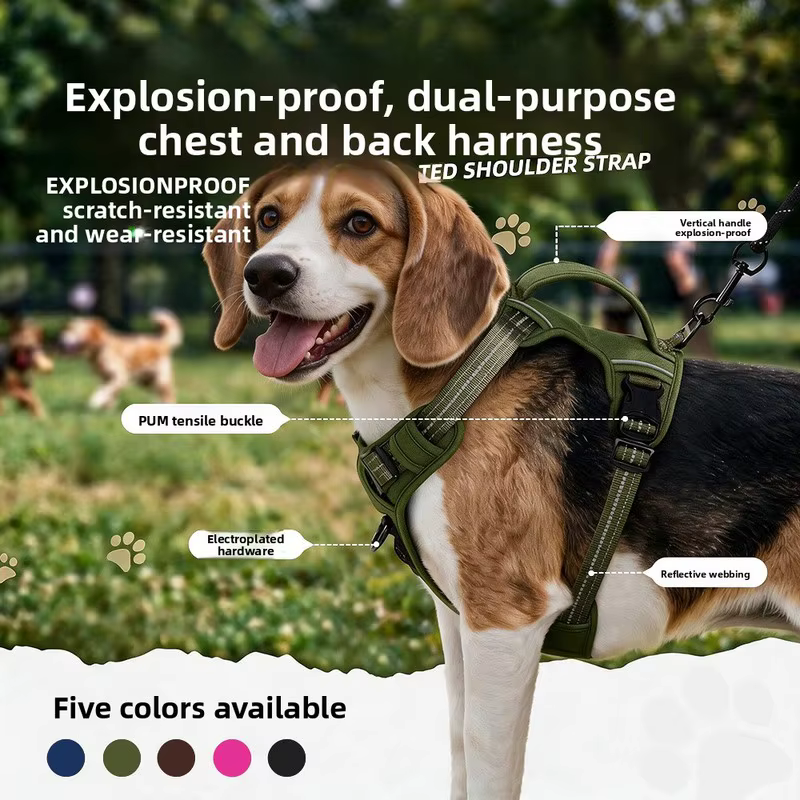 Harnais Anti-Traction Chien & Laisse Assortie