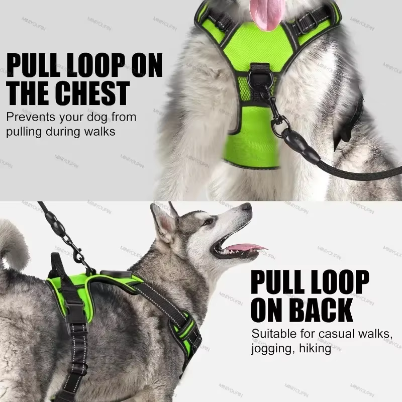 Harnais LED pour chien – Sécurité et visibilité lors des promenades