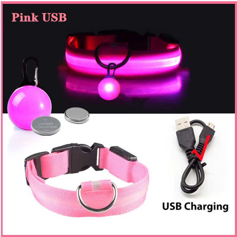 collier lumineux pour chien