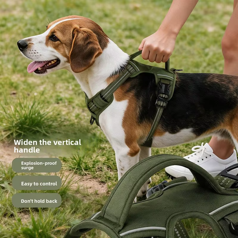Harnais Anti-Traction Chien & Laisse Assortie