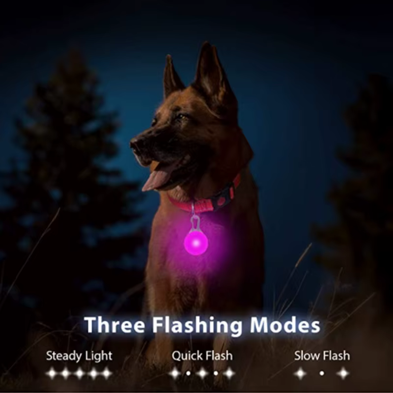 collier lumineux pour chien