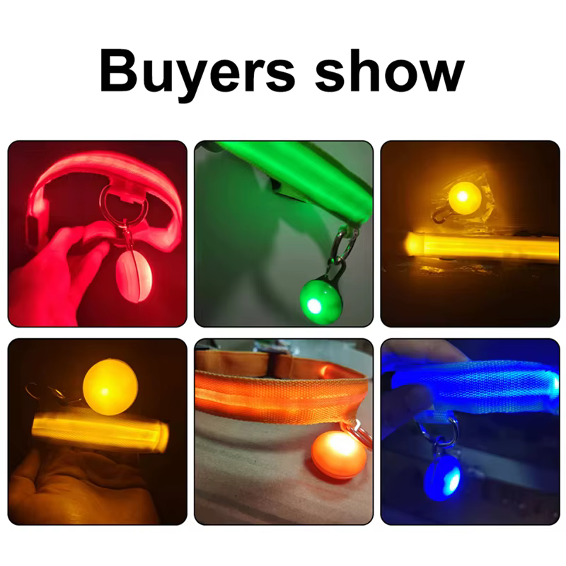 collier lumineux pour chien