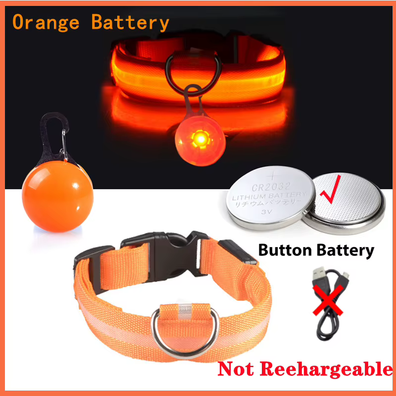 collier lumineux pour chien