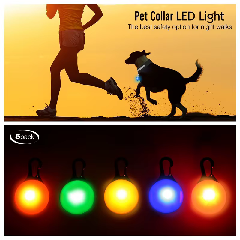 collier lumineux pour chien