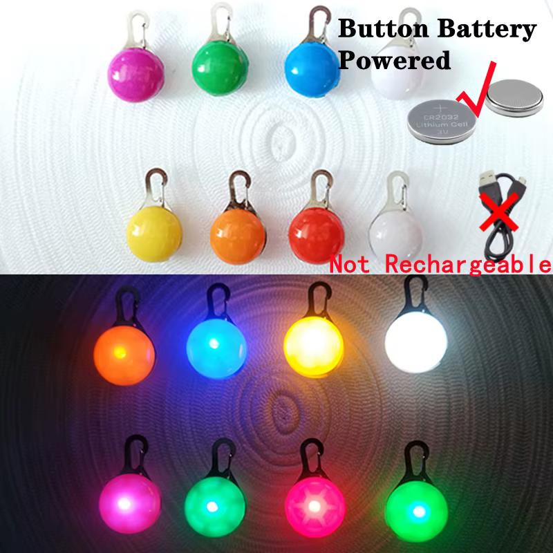 collier lumineux pour chien