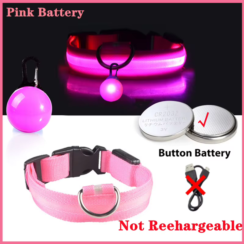 collier lumineux pour chien