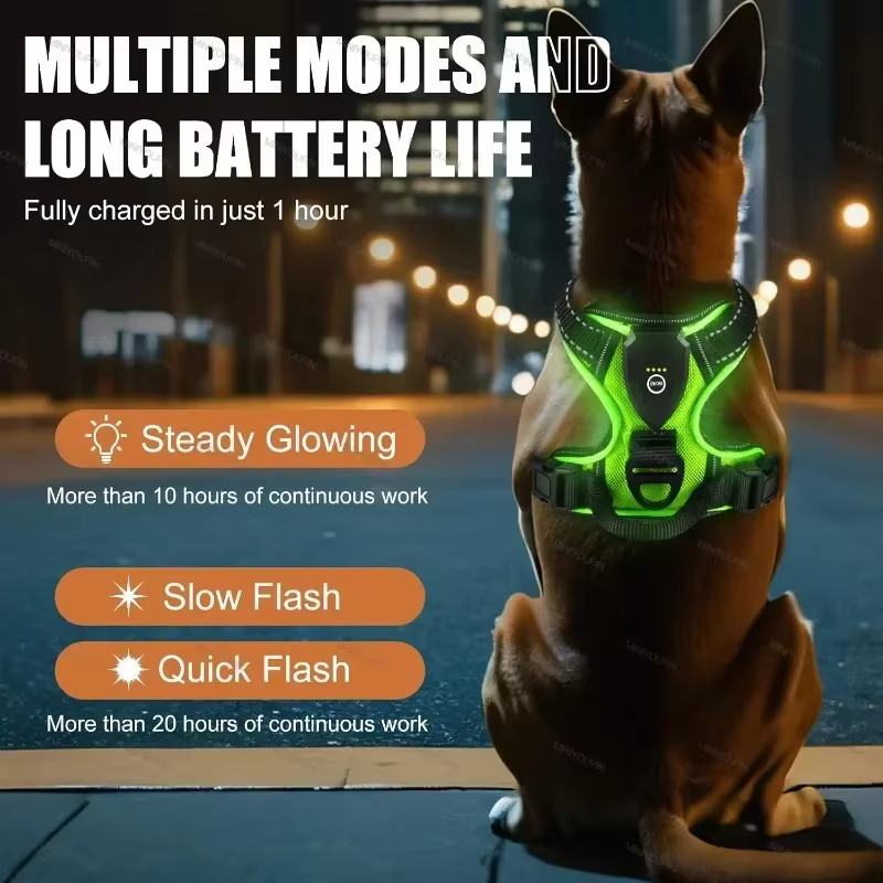 Harnais LED pour chien – Sécurité et visibilité lors des promenades
