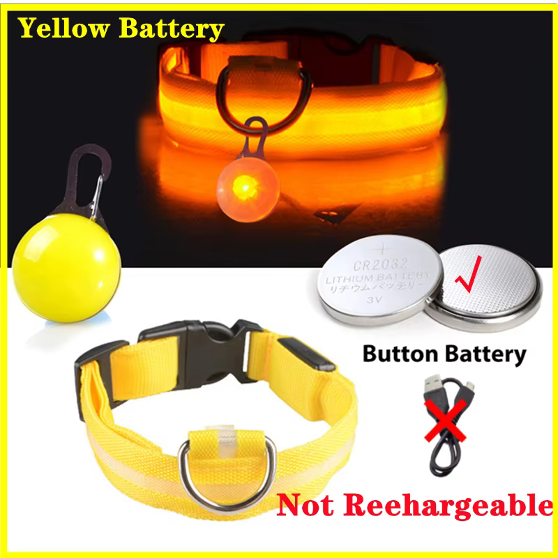 collier lumineux pour chien