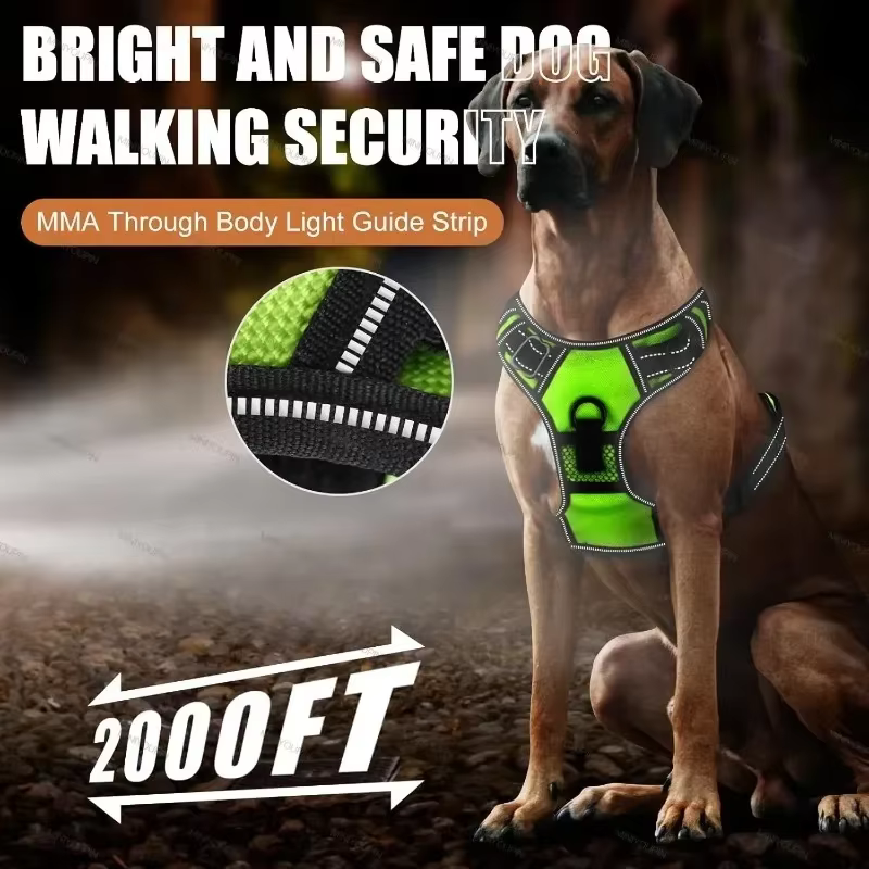 Harnais LED pour chien – Sécurité et visibilité lors des promenades