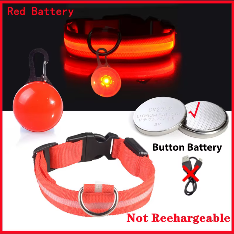 collier lumineux pour chien
