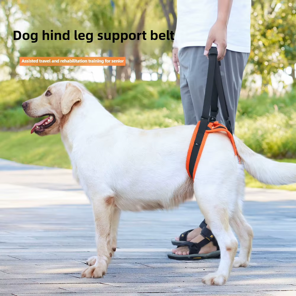 Sangle de Soutien pour Pattes Arrière Chien - Aide Mobilité