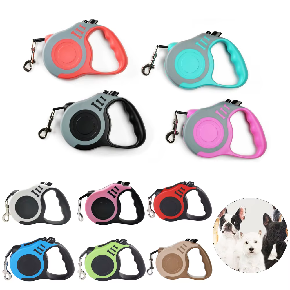 Laisse pour chien