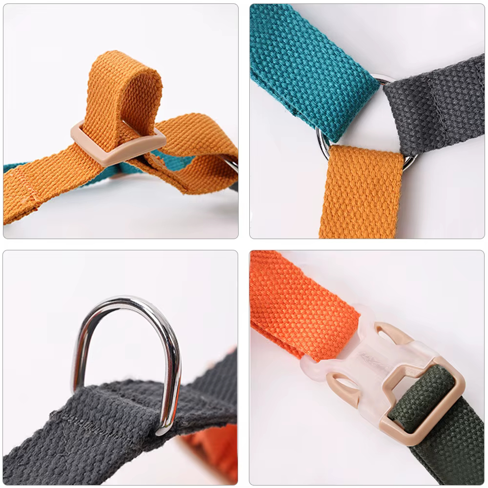 nais Chien Réglable Tricolore Cuperay | Confort & Résistance