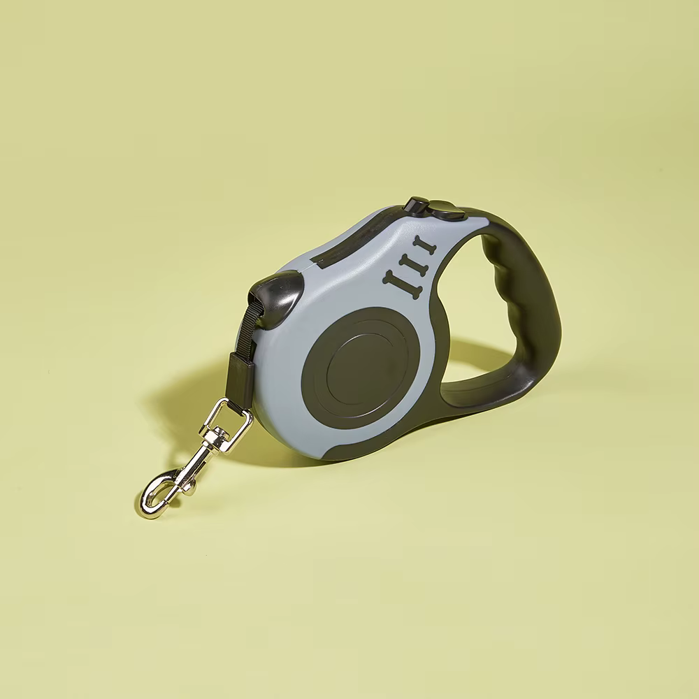 Laisse pour chien
