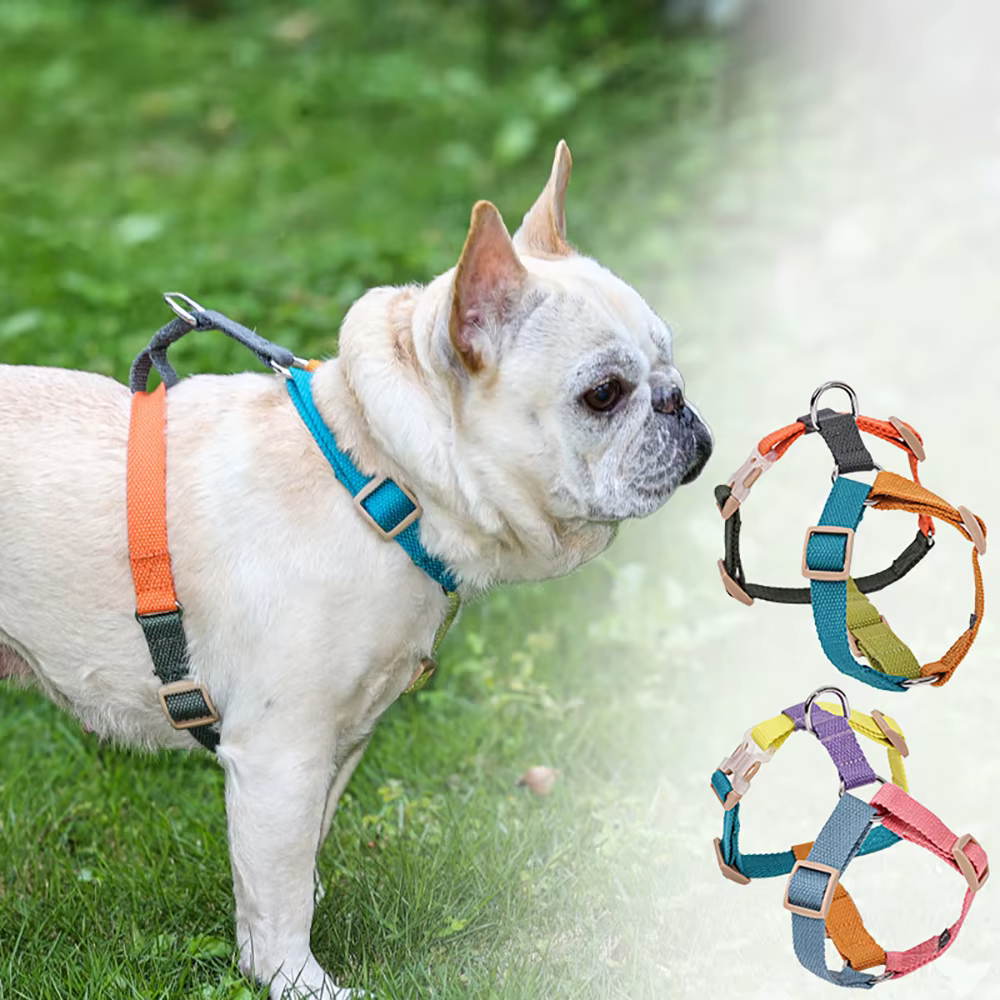 nais Chien Réglable Tricolore Cuperay | Confort & Résistance
