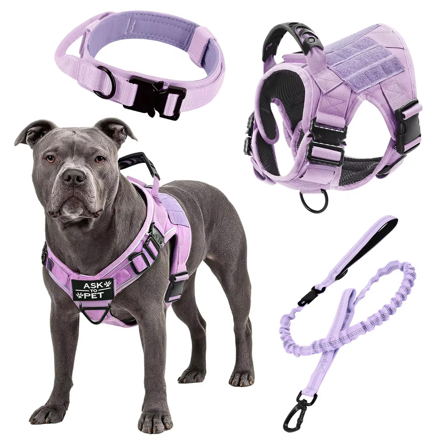 Harnais Tactique Violet pour Chien + Laisse & Collier