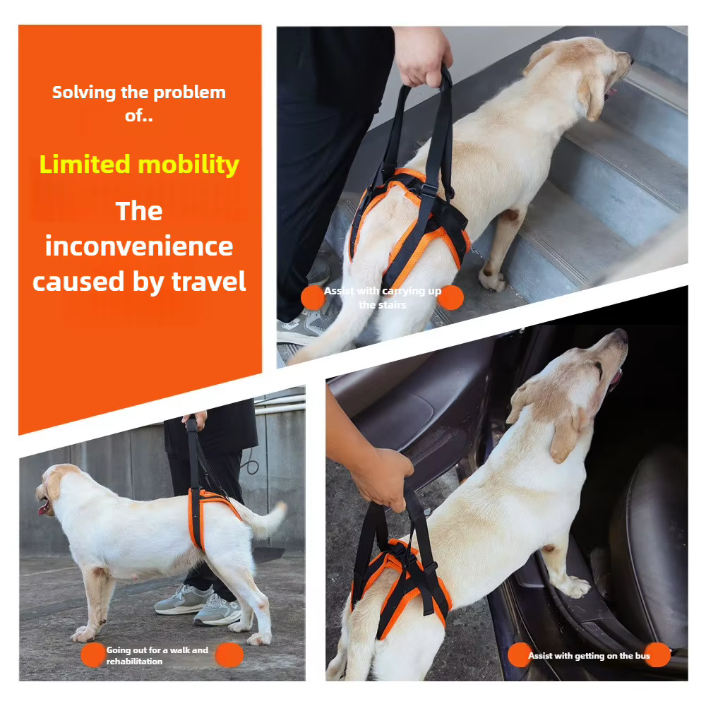 Sangle de Soutien pour Pattes Arrière Chien - Aide Mobilité