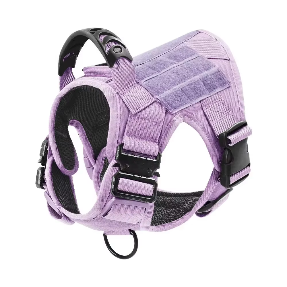 Harnais Tactique Violet pour Chien + Laisse & Collier