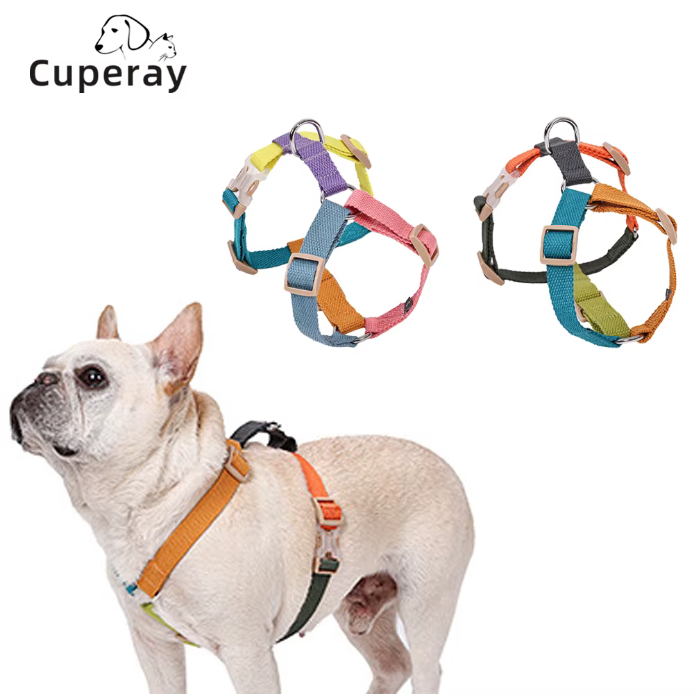 nais Chien Réglable Tricolore Cuperay | Confort & Résistance