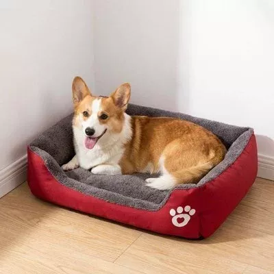 Chien - Couchage (panier, tapis, lit et nid)