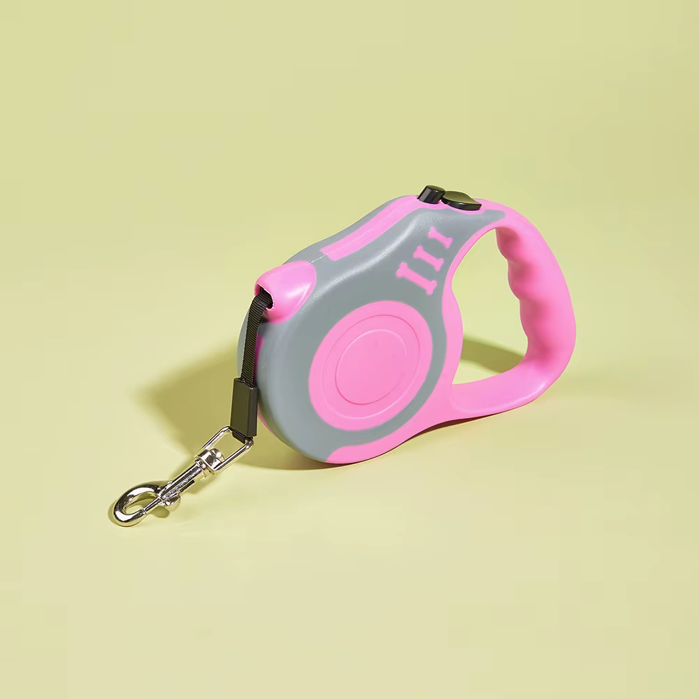 Laisse pour chien