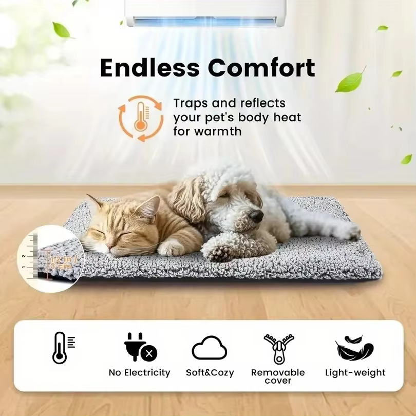 apis confort thermique pour chien – chaleur et bien-être au quotidien