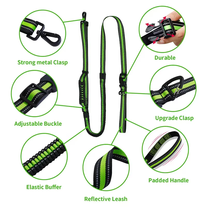laisse pour chien robuste