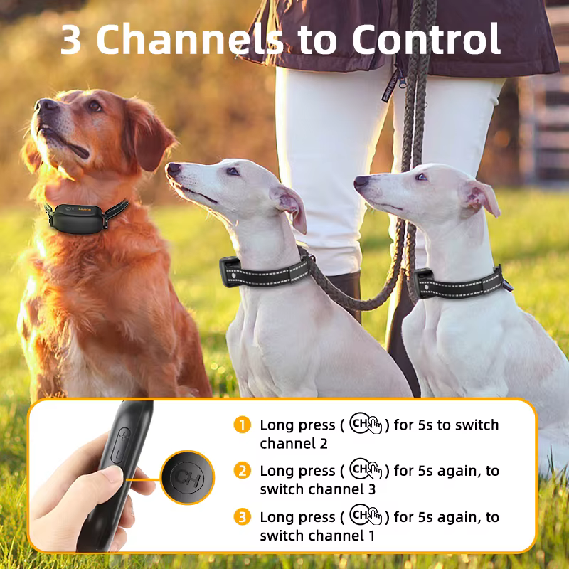 Collier anti-aboiement pour chien 