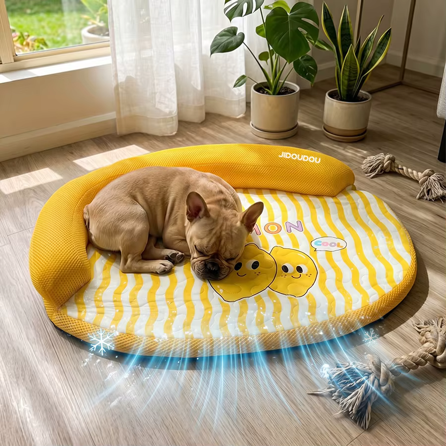 COUSSIN POUR CHIEN