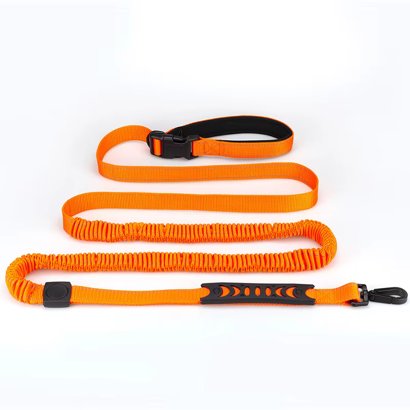 laisse pour chien robuste