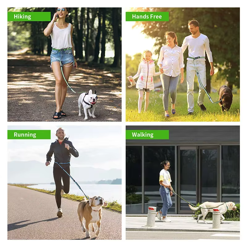 laisse pour chien robuste