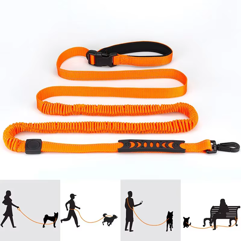 laisse pour chien robuste