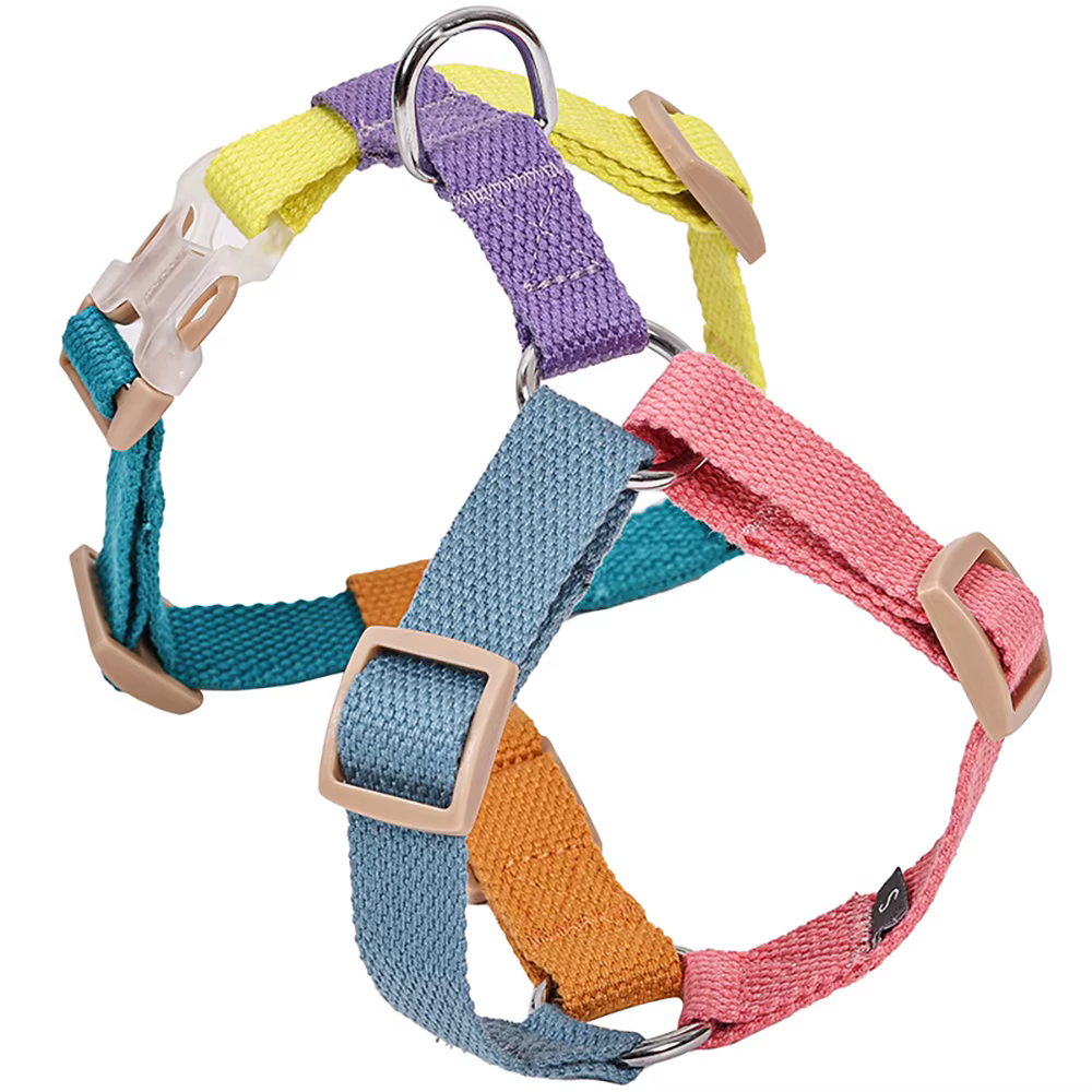 nais Chien Réglable Tricolore Cuperay | Confort & Résistance